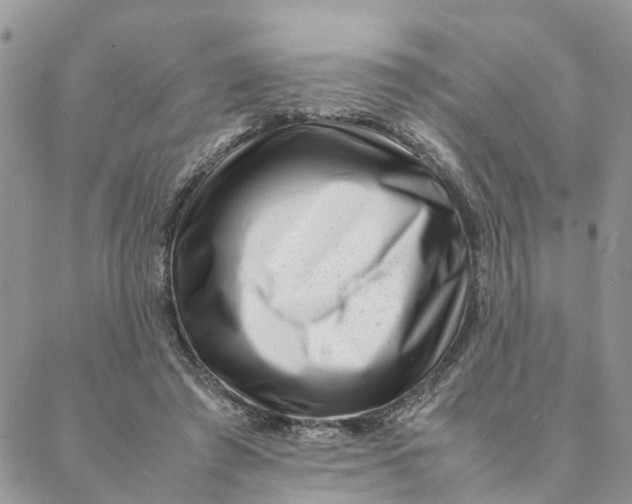 X0000088360401200706121100