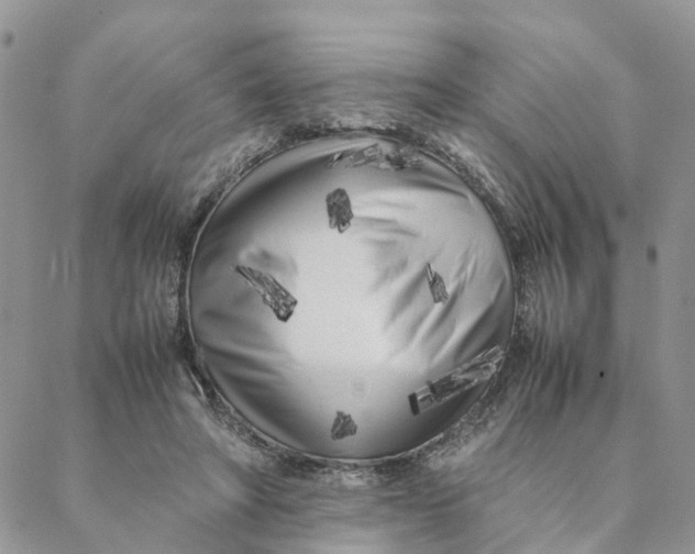 X0000088360402200706121100