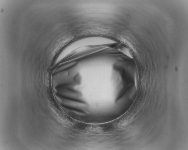 X0000088360403200706121100