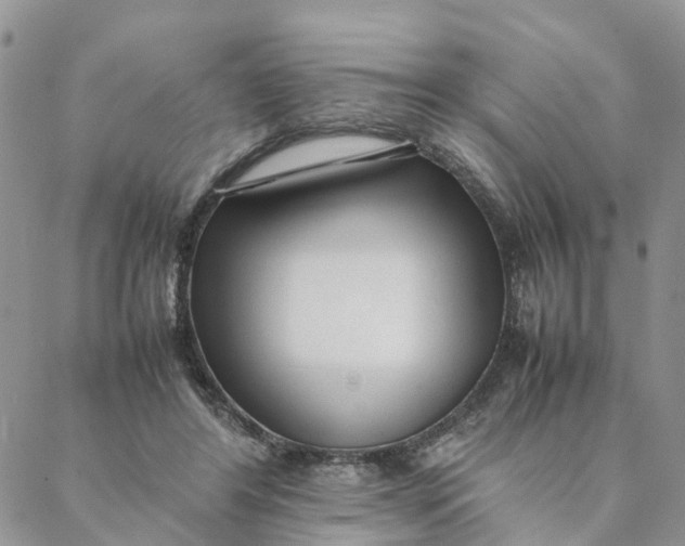 X0000088360404200706121100