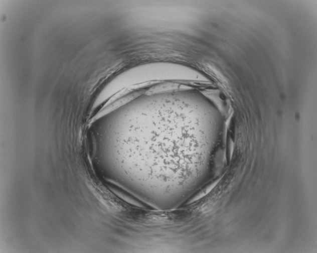 X0000088360405200706121100