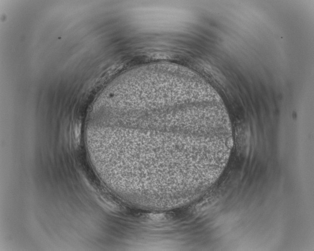 X0000088360406200706121100