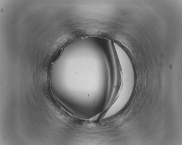 X0000088360407200706121100