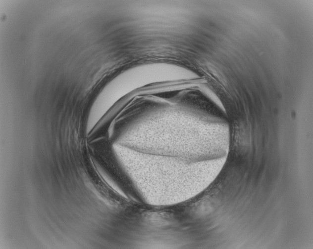 X0000088360408200706121100