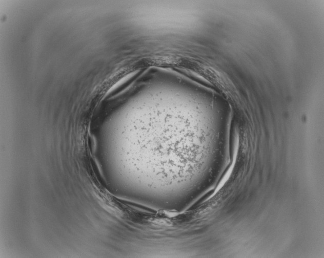 X0000088360409200706121100