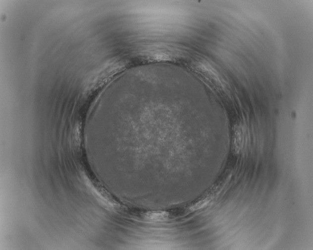 X0000088360410200706121100