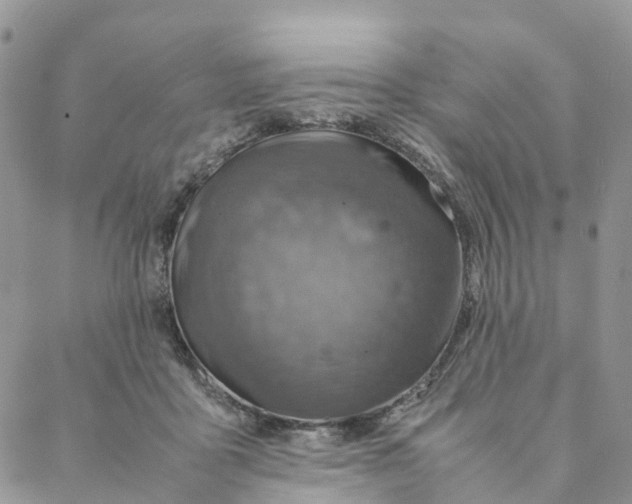 X0000088360411200706121100