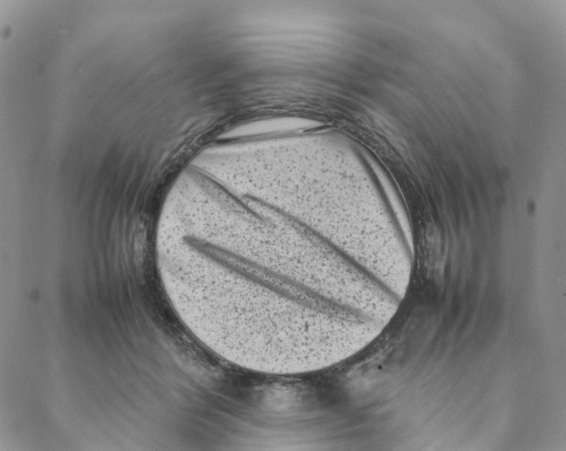 X0000088360412200706121100