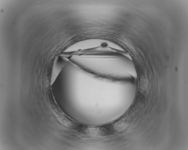 X0000088360413200706121100