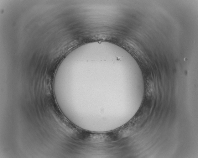 X0000088360414200706121100