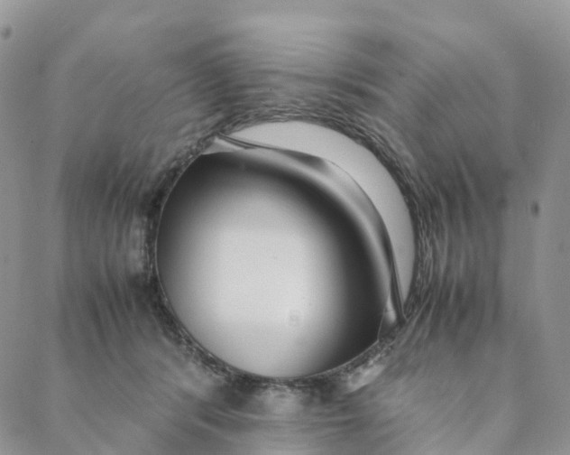 X0000088360416200706121100