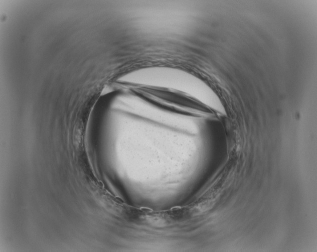 X0000088360417200706121100