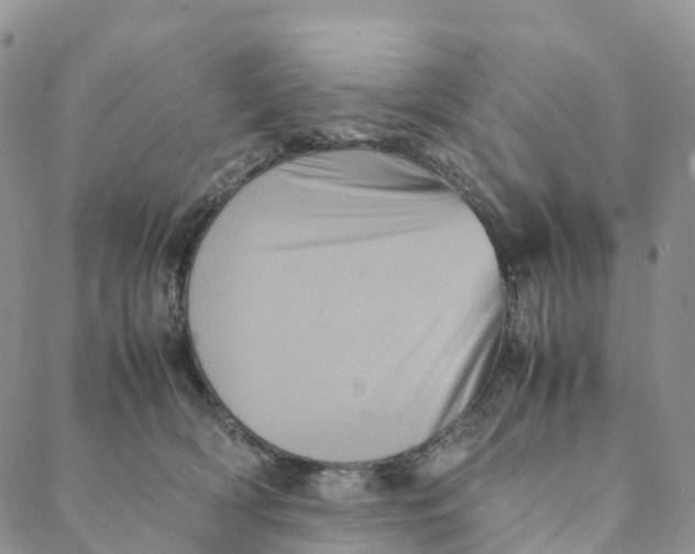 X0000088360418200706121100