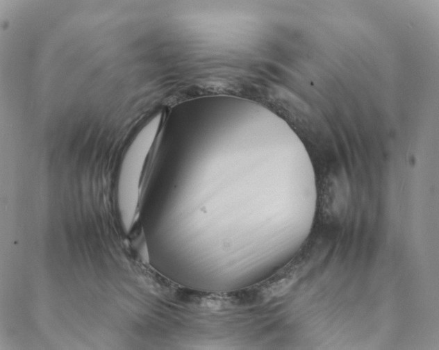 X0000088360420200706121100