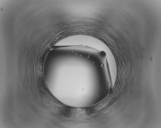 X0000088360421200706121100