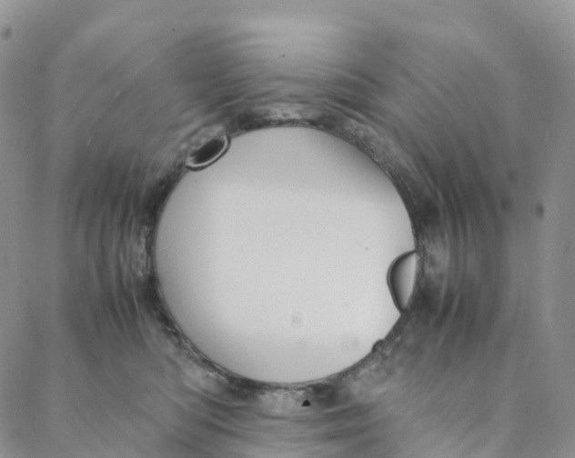 X0000088360422200706121100