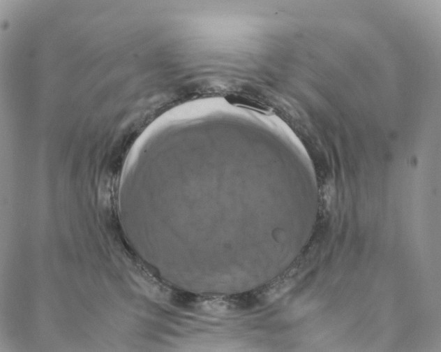 X0000088360423200706121100