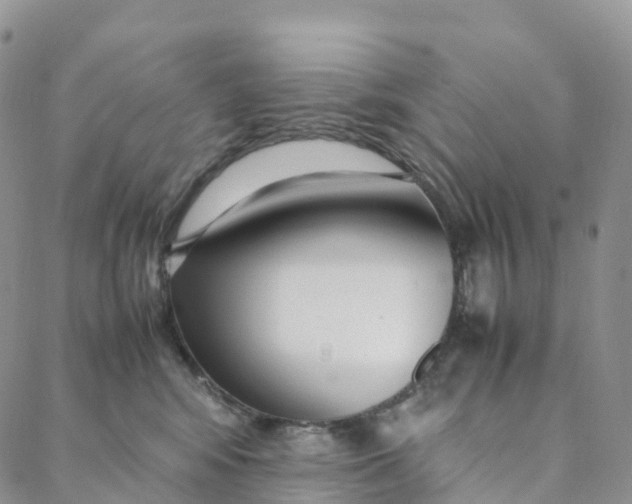 X0000088360424200706121100