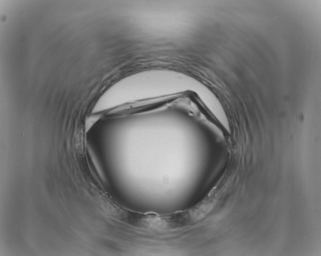 X0000088360425200706121100