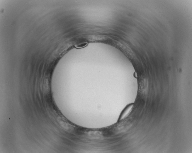 X0000088360426200706121100