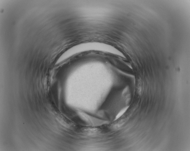 X0000088360428200706121100