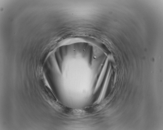 X0000088360429200706121100