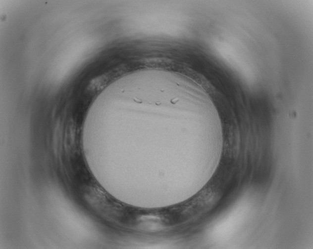 X0000088360430200706121100