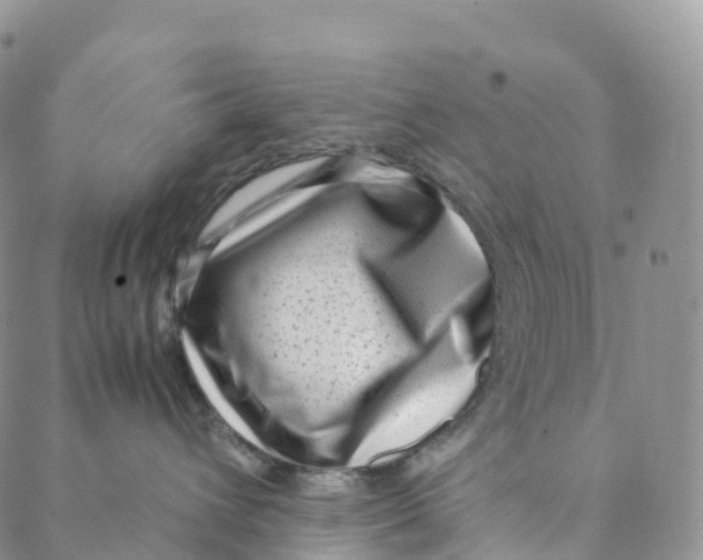 X0000088360432200706121100