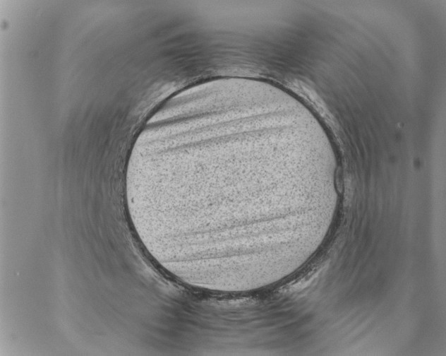 X0000088360433200706121059