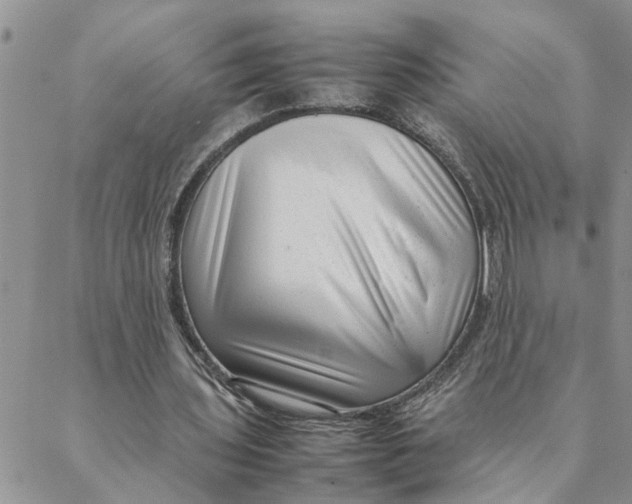 X0000088360435200706121059