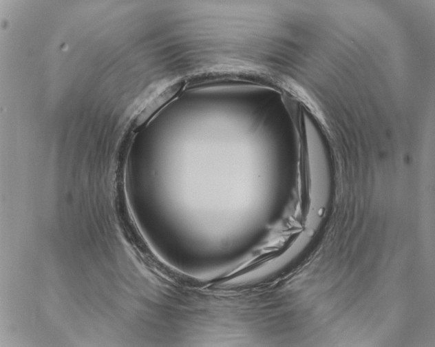 X0000088360436200706121059