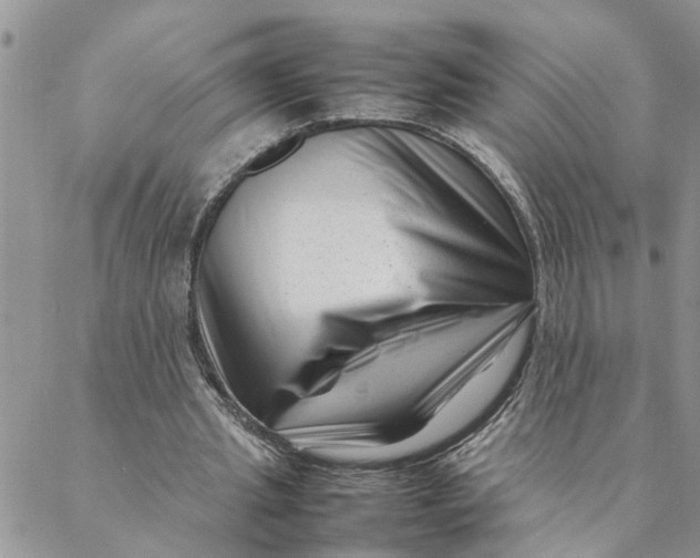 X0000088360437200706121059