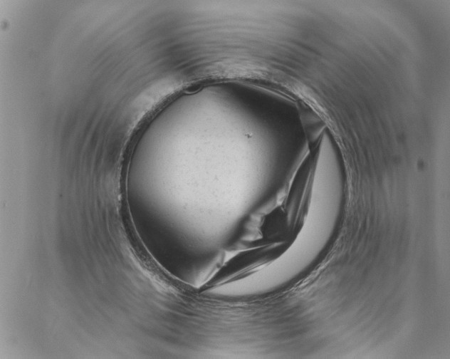 X0000088360438200706121059