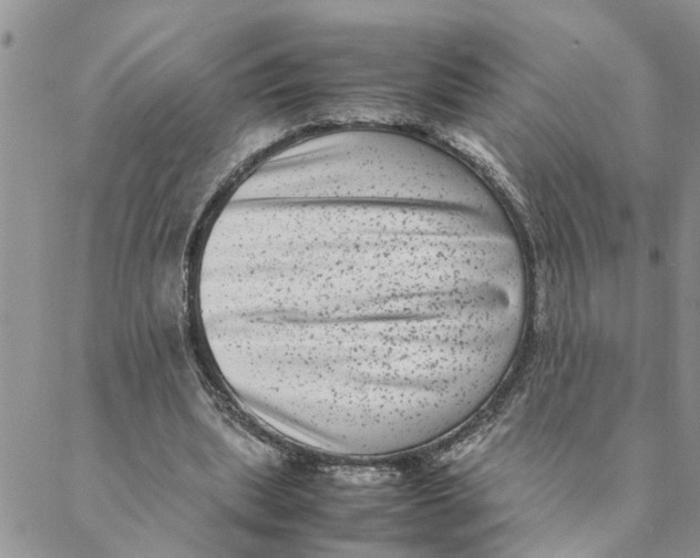 X0000088360439200706121059