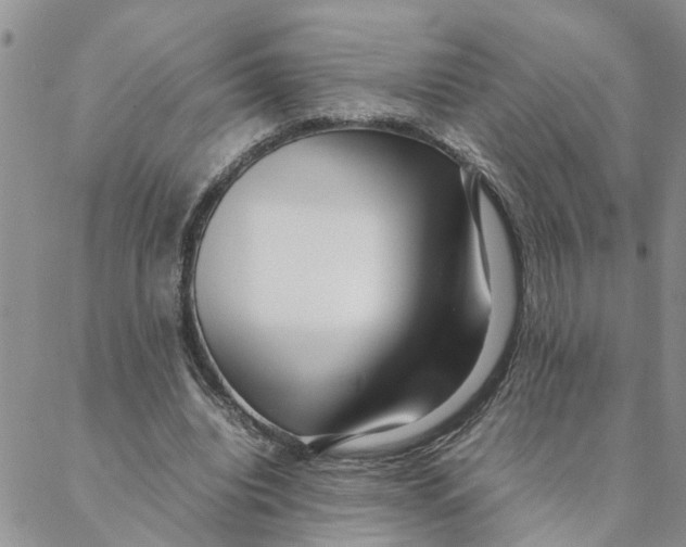 X0000088360440200706121059