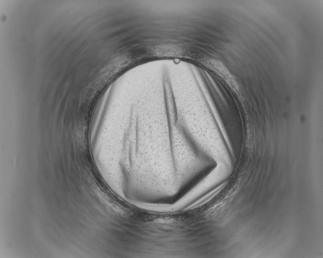 X0000088360441200706121059