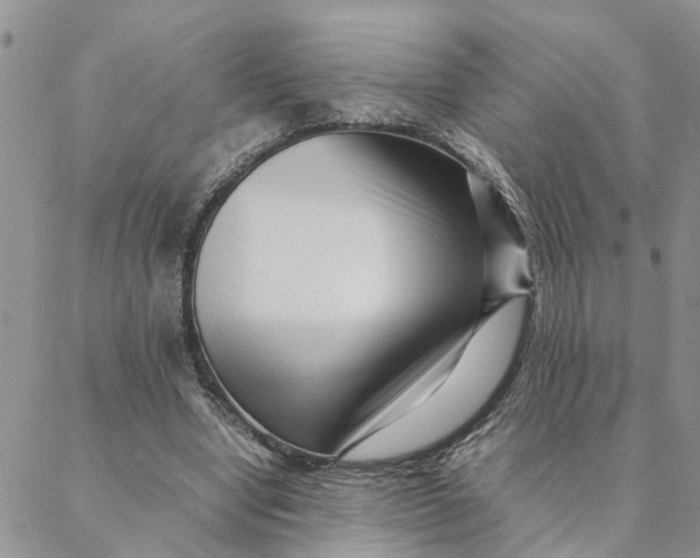 X0000088360442200706121059