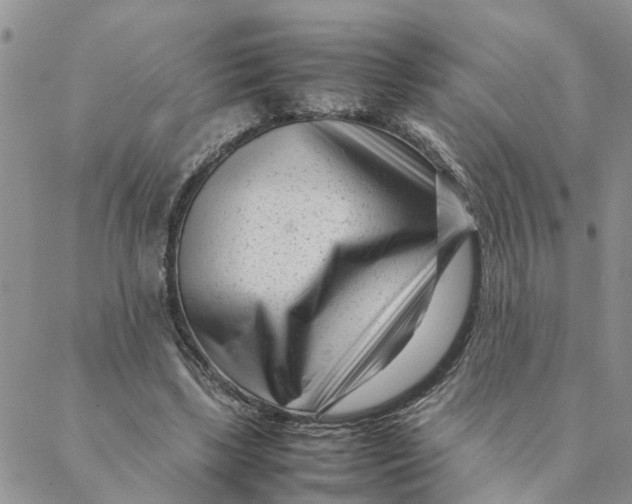 X0000088360443200706121059