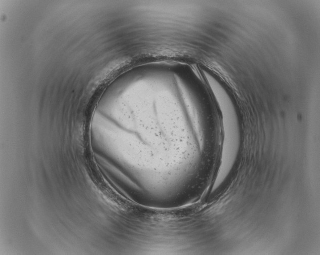 X0000088360444200706121059