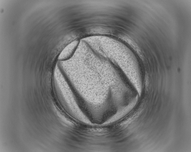 X0000088360445200706121059