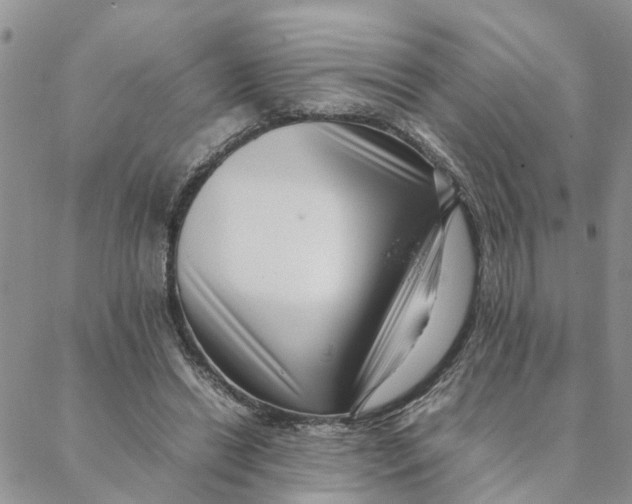 X0000088360446200706121059