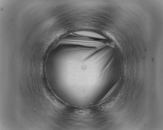 X0000088360447200706121059