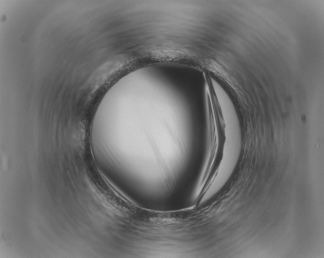 X0000088360448200706121059