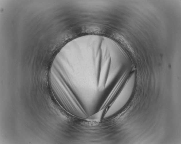 X0000088360449200706121059