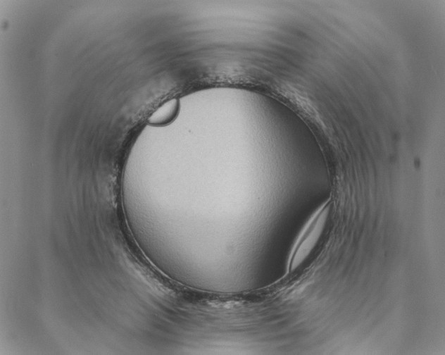 X0000088360450200706121059