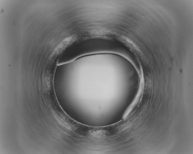 X0000088360452200706121059