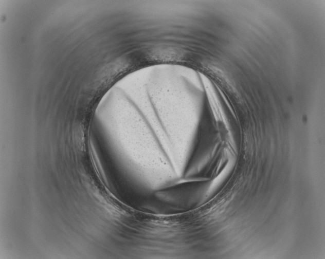 X0000088360453200706121059