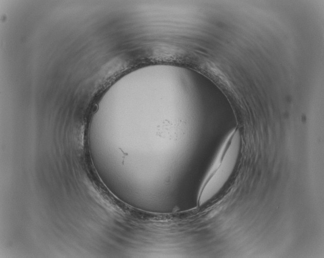 X0000088360454200706121059