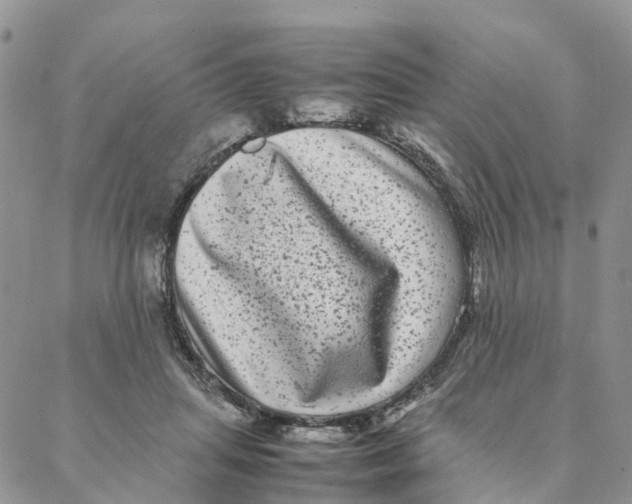 X0000088360455200706121059