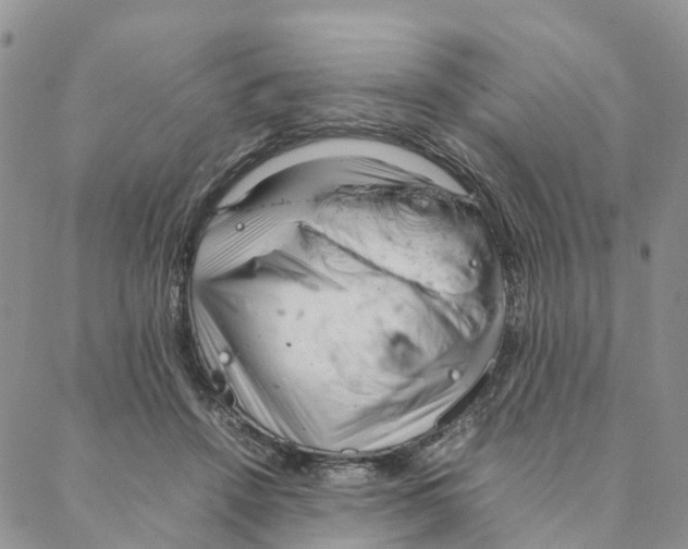 X0000088360456200706121059